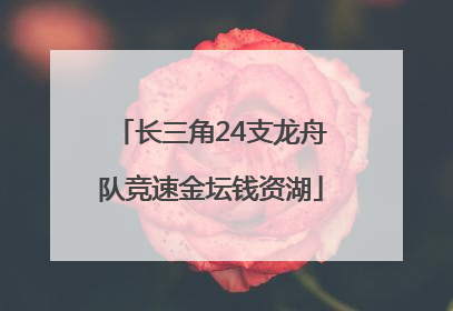 长三角24支龙舟队竞速金坛钱资湖