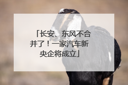 长安、东风不合并了！一家汽车新央企将成立