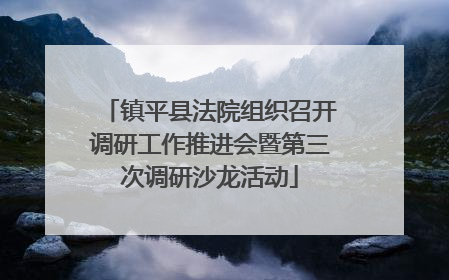 镇平县法院组织召开调研工作推进会暨第三次调研沙龙活动