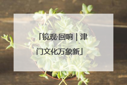 镜观·回响｜津门文化万象新