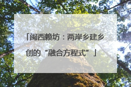 闽西赖坊：两岸乡建乡创的“融合方程式”