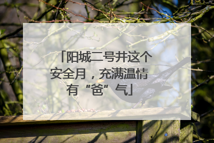 阳城二号井这个安全月，充满温情有“爸”气