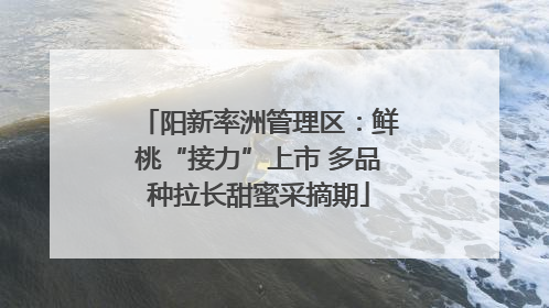 阳新率洲管理区：鲜桃“接力”上市 多品种拉长甜蜜采摘期