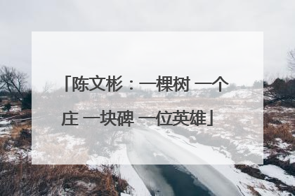 陈文彬：一棵树 一个庄 一块碑 一位英雄