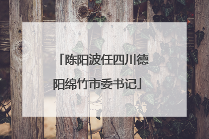 陈阳波任四川德阳绵竹市委书记