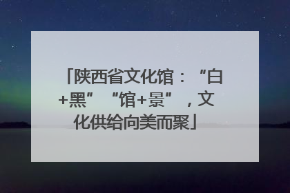 陕西省文化馆：“白+黑”“馆+景”，文化供给向美而聚