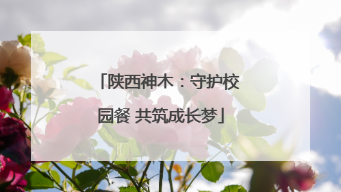 陕西神木：守护校园餐 共筑成长梦
