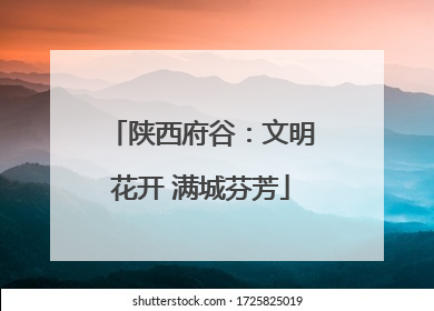 陕西府谷：文明花开 满城芬芳