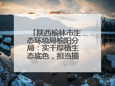 陕西榆林市生态环境局榆阳分局：实干厚植生态底色，担当描绘绿色答卷
