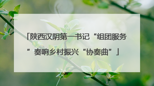陕西汉阴第一书记“组团服务”奏响乡村振兴“协奏曲”