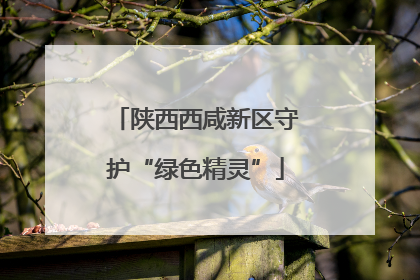 陕西西咸新区守护“绿色精灵”