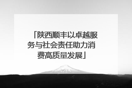 陕西顺丰以卓越服务与社会责任助力消费高质量发展