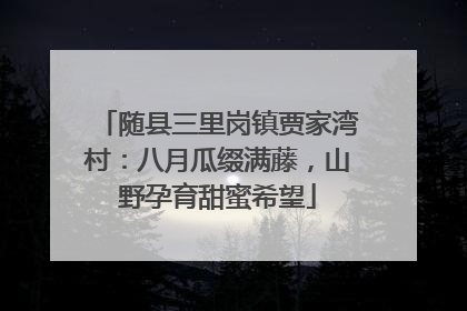 随县三里岗镇贾家湾村：八月瓜缀满藤，山野孕育甜蜜希望