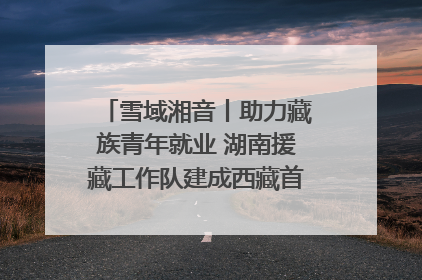 雪域湘音丨助力藏族青年就业 湖南援藏工作队建成西藏首个清洁能源装备园