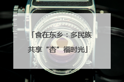 食在东乡：多民族共享“杏”福时光