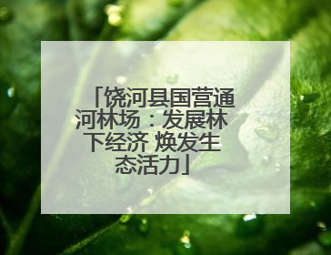饶河县国营通河林场：发展林下经济 焕发生态活力