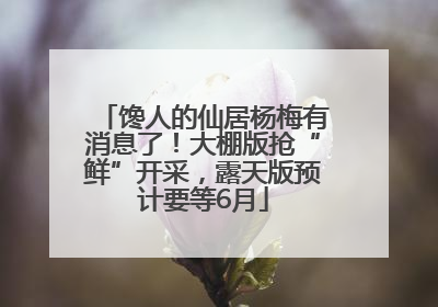 馋人的仙居杨梅有消息了！大棚版抢“鲜”开采，露天版预计要等6月
