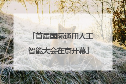 首届国际通用人工智能大会在京开幕