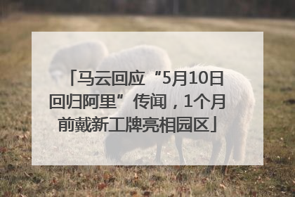 马云回应“5月10日回归阿里”传闻，1个月前戴新工牌亮相园区