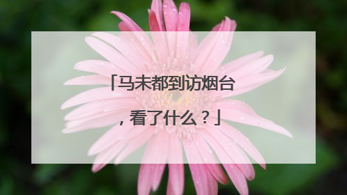 马未都到访烟台，看了什么？