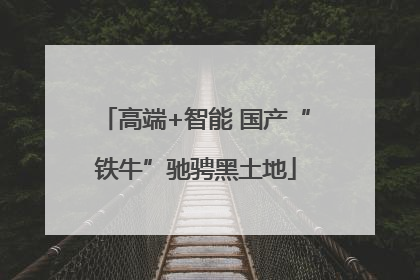 高端+智能 国产“铁牛”驰骋黑土地