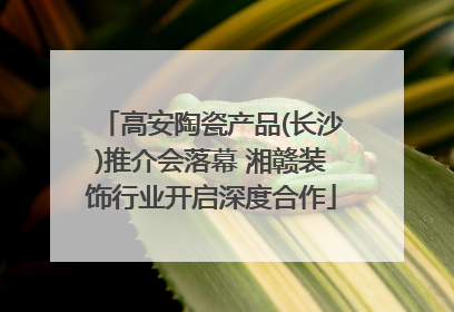 高安陶瓷产品(长沙)推介会落幕 湘赣装饰行业开启深度合作