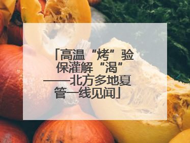 高温“烤”验 保灌解“渴”——北方多地夏管一线见闻