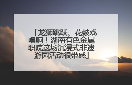 龙狮跳跃、花鼓戏唱响！湖南有色金属职院这场沉浸式非遗游园活动很带感