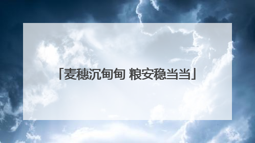 麦穗沉甸甸 粮安稳当当