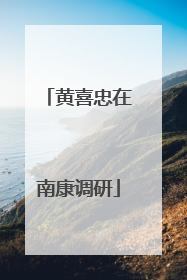 黄喜忠在南康调研
