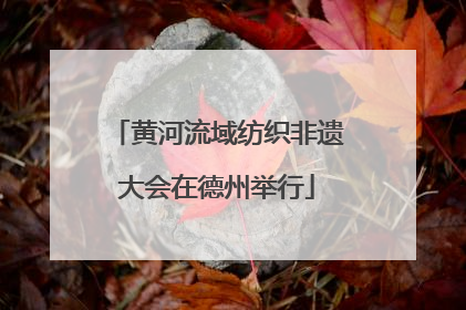 黄河流域纺织非遗大会在德州举行