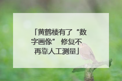 黄鹤楼有了“数字画像” 修复不再靠人工测量