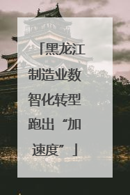 黑龙江制造业数智化转型跑出“加速度”