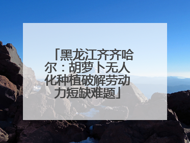 黑龙江齐齐哈尔：胡萝卜无人化种植破解劳动力短缺难题