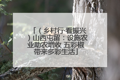 （乡村行·看振兴）山西屯留：设施农业助农增收 五彩椒带来多彩生活