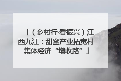 （乡村行·看振兴）江西九江：甜蜜产业拓宽村集体经济“增收路”