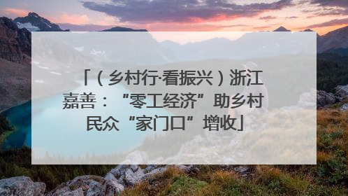 （乡村行·看振兴）浙江嘉善：“零工经济”助乡村民众“家门口”增收