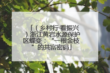 （乡村行·看振兴）浙江黄岩水源保护区蝶变：“一根金枝”的共富密码
