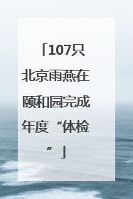 107只北京雨燕在颐和园完成年度“体检”