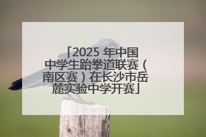 2025 年中国中学生跆拳道联赛（南区赛）在长沙市岳麓实验中学开赛