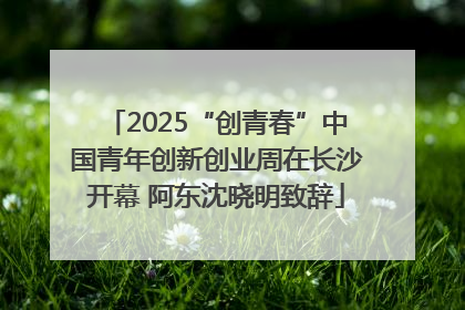 2025“创青春”中国青年创新创业周在长沙开幕 阿东沈晓明致辞