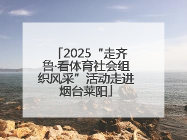 2025“走齐鲁·看体育社会组织风采”活动走进烟台莱阳