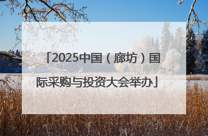 2025中国（廊坊）国际采购与投资大会举办