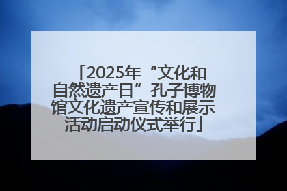 2025年“文化和自然遗产日”孔子博物馆文化遗产宣传和展示活动启动仪式举行