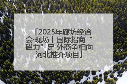 2025年廊坊经洽会·现场丨国际招商“磁力”足 外商争相向河北推介项目