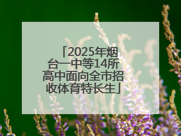 2025年烟台一中等14所高中面向全市招收体育特长生