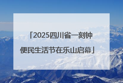 2025四川省一刻钟便民生活节在乐山启幕