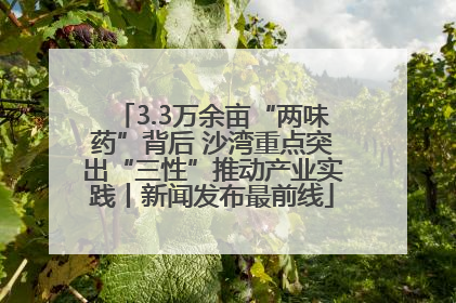 3.3万余亩“两味药”背后 沙湾重点突出“三性”推动产业实践丨新闻发布最前线