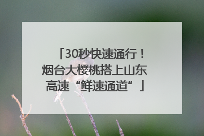30秒快速通行！烟台大樱桃搭上山东高速“鲜速通道”