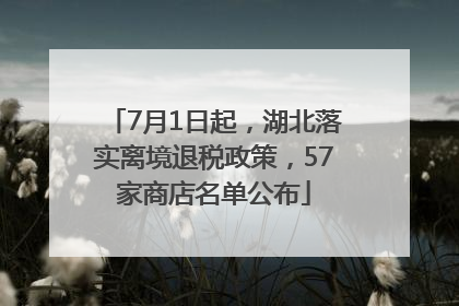 7月1日起，湖北落实离境退税政策，57家商店名单公布